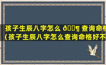 孩子生辰八字怎么 🐶 查询命格（孩子生辰八字怎么查询命格好不好）